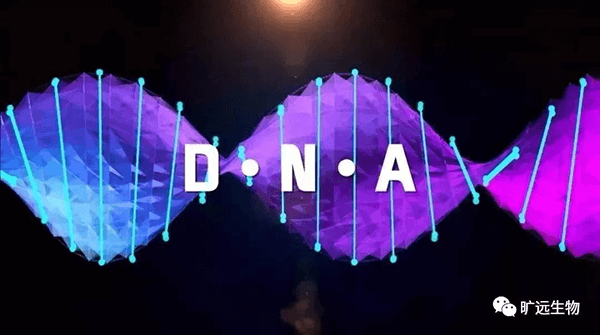 基因治疗生长更近一步！FDA宣布6大指南