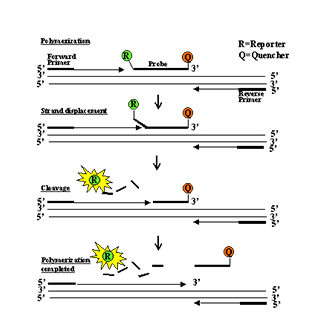 bevictor伟德官网-韦德官方网站